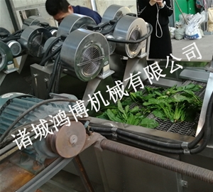 河南中草药风干机