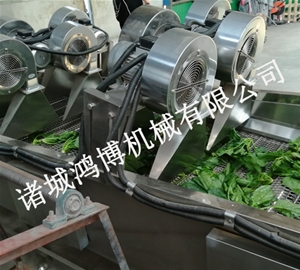 河南肉类风干设备