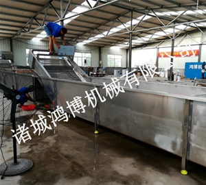 河南魔芋清洗综合机