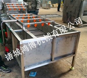 河南菌类清洗机