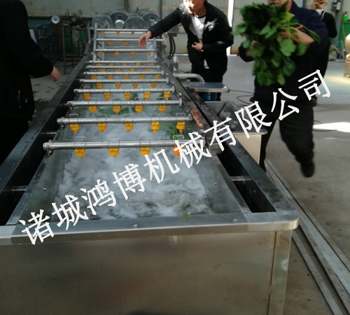 可定制气泡清洗机