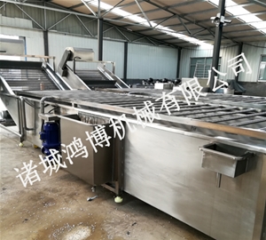 河南海鲜类清洗机