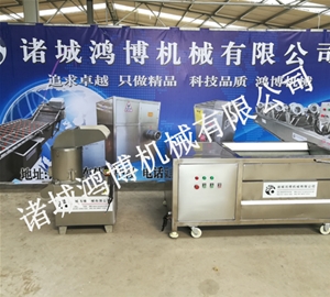 河南姜清洗去皮机