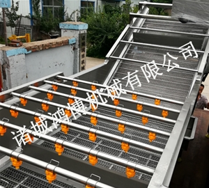河南人参清洗机