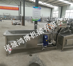 河南叶菜蔬菜气泡清洗机