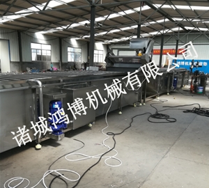 河南食用菌类清洗机