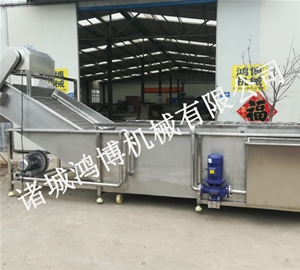 河南大型商用蔬菜清洗机