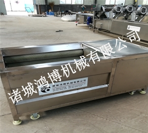 河南青核桃去皮机