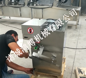 河南饮料厂专用削皮设备