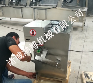 河南饮料厂专用削皮设备